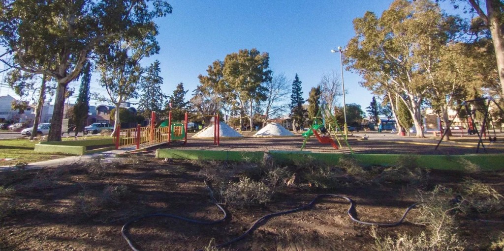 Ambiente Municipal avanza con los trabajos de forestación en la Plaza Güemes de&nbsp;Rawson