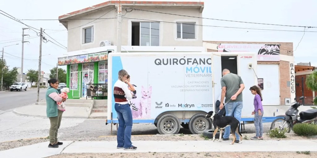 castración gratuita, mascotas, Puerto Madryn, barrio Perón, cuidado responsable de animales, perros y gatos, campaña de castración, Municipalidad de Puerto Madryn, salud animal, turnos de castración, veterinaria y zoonosis, asociaciones vecinales, cirugía de mascotas