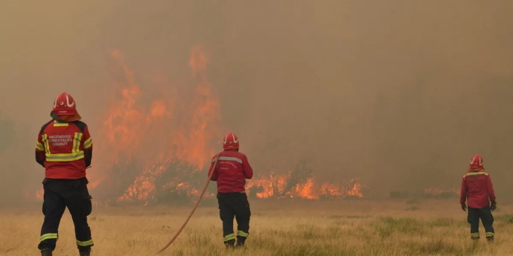 DATO | Curso de posgrado en «Socioeconomía y valoración de los recursos naturales» en&nbsp;Esquel