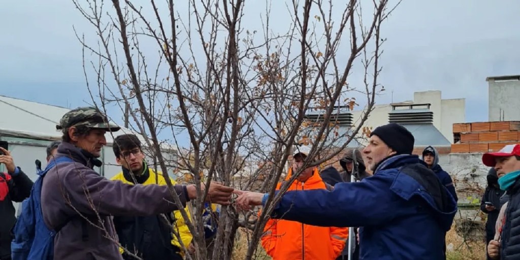 Nueva capacitación de poda de árboles frutales en&nbsp;Rawson