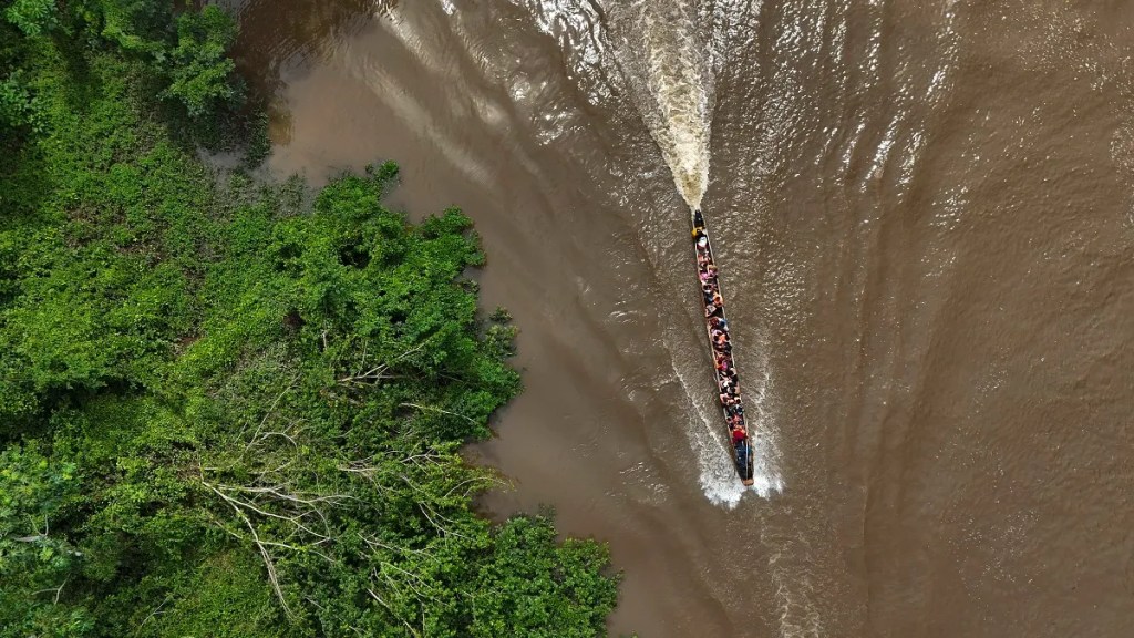 16 migrantes fallecieron al intentar cruzar la selva&nbsp;panameña