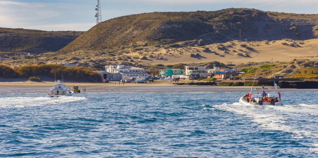 Lanzan nuevo servicio de cabalgatas en Península&nbsp;Valdés