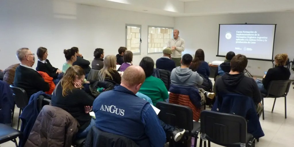 Provincia inició curso para implementadores de normativa orgánica en la cadena ovina y producción de&nbsp;lana