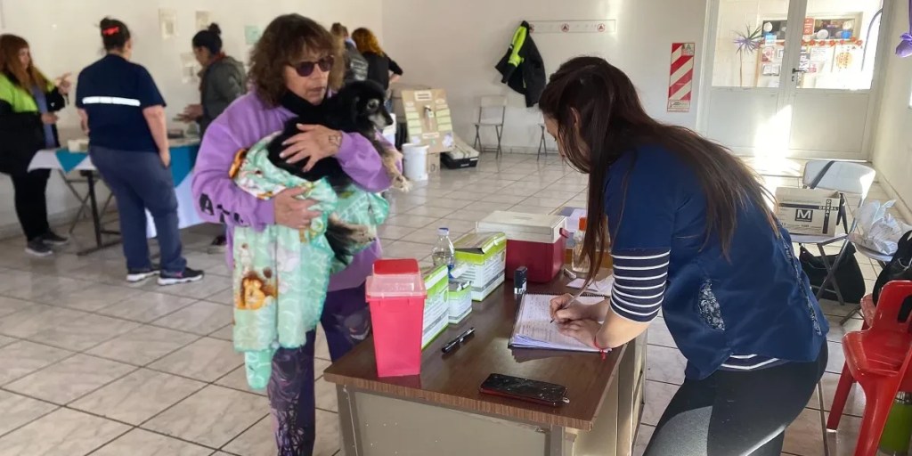 Refuerzan la campaña de vacunación antirrábica gratuita para&nbsp;mascotas