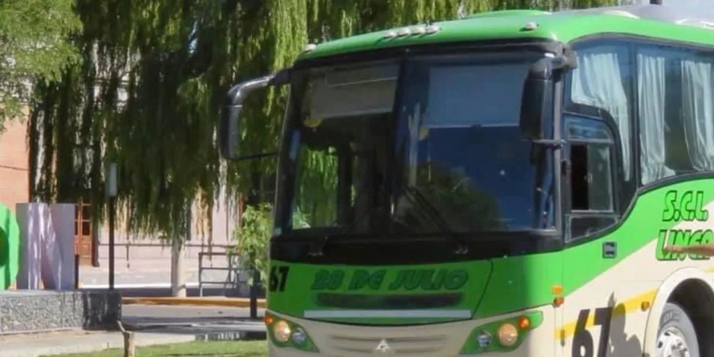 ATENCIÓN | Anunciaron nuevas frecuencias de colectivos en el&nbsp;Valle