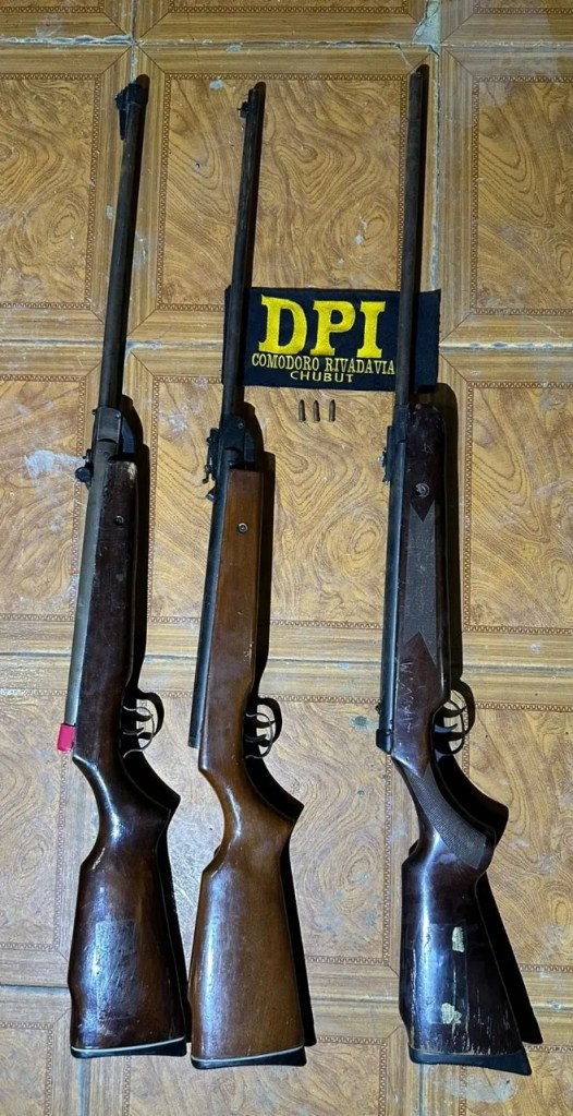 Comodoro Rivadavia, allanamientos, Policía del Chubut, armas de fuego, enfrentamientos, bandas, barrio 30 de Octubre, violencia, investigación, delitos, seguridad, justicia, Eduardo Chemin, Pablo Lobos, Belén De la Canal, Ministerio Público Fiscal