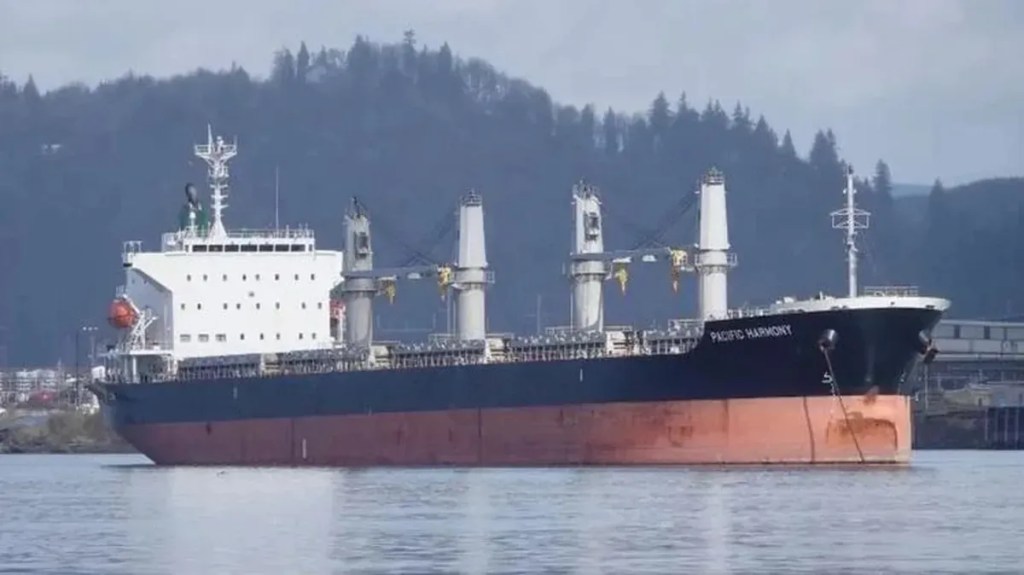 Un barco cerealero entró en cuarentena por posible caso de viruela del mono en San&nbsp;Lorenzo