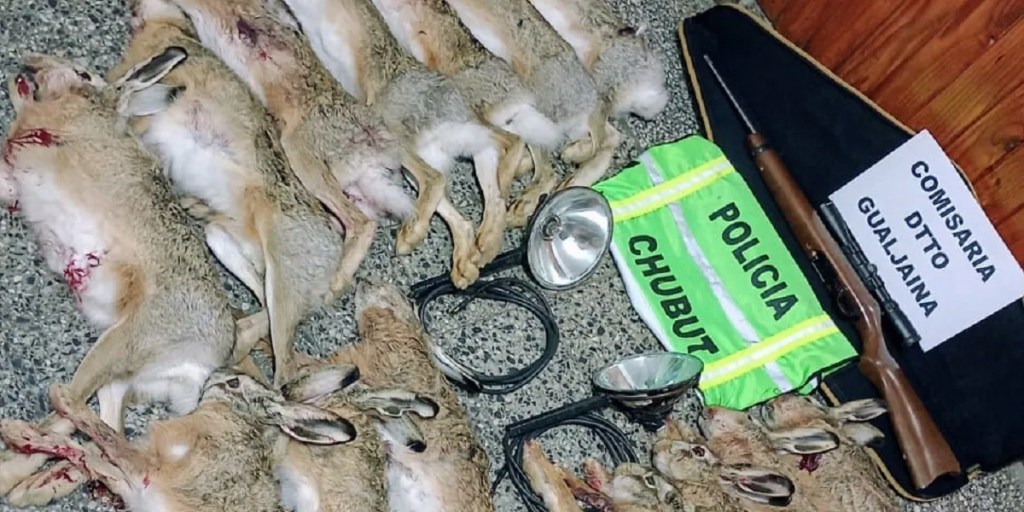Incautación, Armas, Caza ilegal, Gualjaina, Policía, Fauna, Operativo preventivo, Ley de Fauna, Rifles