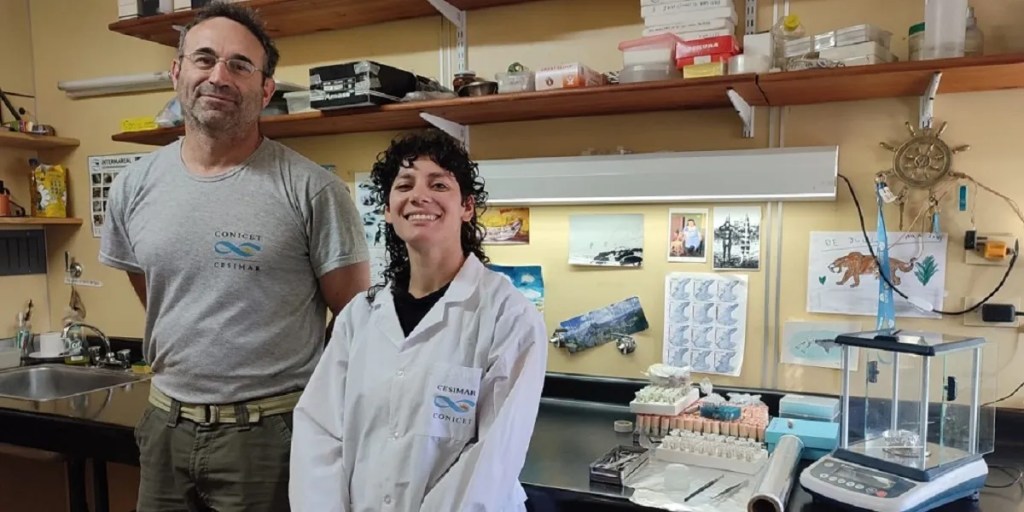 CONICET, Mar Argentino, pingüinos de Magallanes, isótopos estables, ecología marina, trazabilidad pesquera, conservación de especies, CESIMAR, investigación científica, isopaisajes, áreas marinas protegidas, Wildlife Conservation Society, migración de especies, biodiversidad marina, monitoreo ecológico