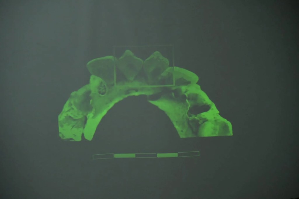 hallazgo antropológico, Camarones, Subsecretaría de Cultura, Chubut, Ignacio Torres, IDEAus, CONICET, patrimonio cultural, restos humanos, Patagonia, pueblos originarios, arqueología, bioantropología, preservación del patrimonio, historia