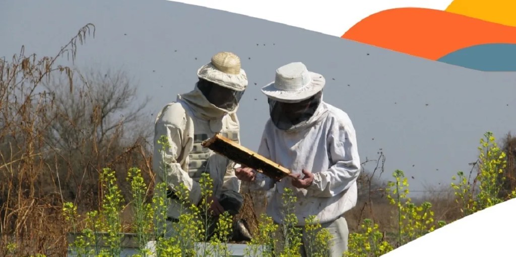 DATO | Abren las inscripciones para el curso de Iniciación&nbsp;Apícola