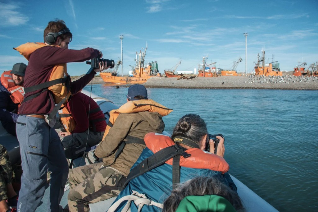 avistaje de toninas, Rawson, Puerto de Rawson, turismo en Rawson, delfines patagónicos, Playa Unión, Ente Mixto Rawson Turístico, EMRaTur, Natalia García, turismo sustentable, temporada de toninas, mes aniversario Rawson, avistaje de fauna marina, paseo náutico, turismo en Chubut