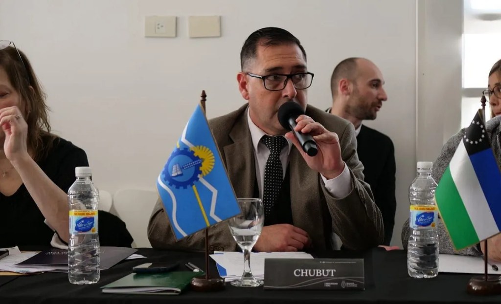 La seguridad vial chubutense expuso en una reunión del Consejo&nbsp;Federal