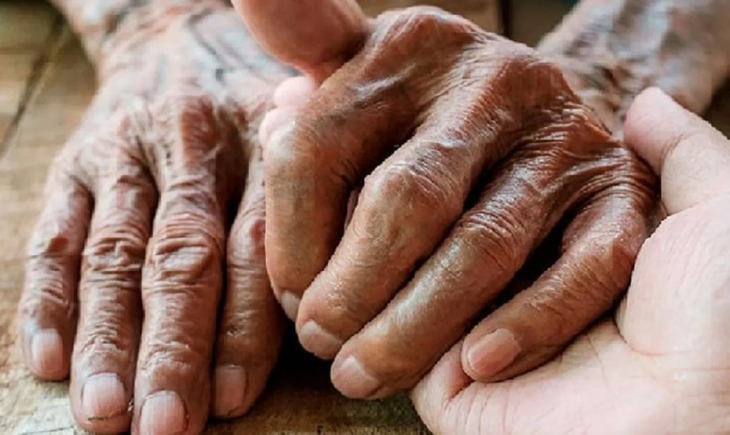 adopción adulta, fallo judicial, derecho a la identidad, Salta, Código Civil 2015, adopciones entre adultos, familia, derechos del adulto mayor, identidad familiar