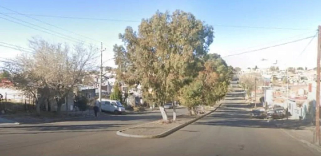 Trabajos de poda en el boulevard de la avenida de Los Trabajadores provocarán cortes de&nbsp;tránsito