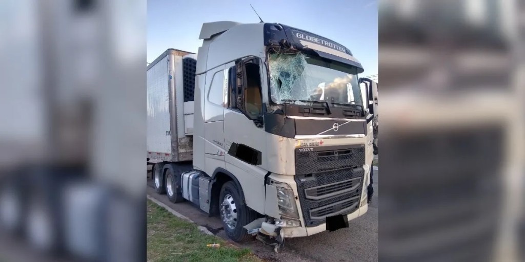 camionero chileno, embiste árboles, poste de luz, Gobernador Costa, conducción ebria, accidente vial, secuestro de camión, test de alcoholemia, Ley de Tránsito, sanciones viales