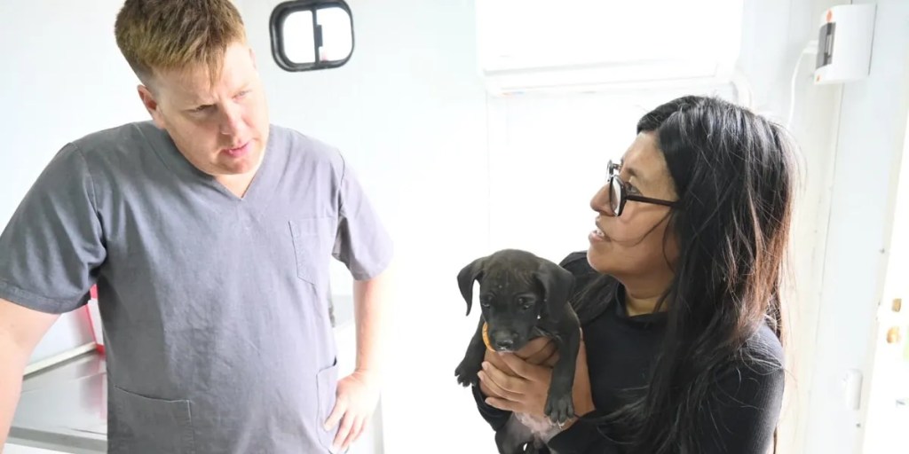 castraciones gratuitas, Puerto Madryn, barrio 21 de Enero, tenencia responsable, campaña de castración, cuidado de mascotas, Dirección de Veterinaria, Zoonosis, perros y gatos, turnos castración, castración mascotas, salud animal, municipio Puerto Madryn, bienestar animal, esterilización gratuita, campaña municipal