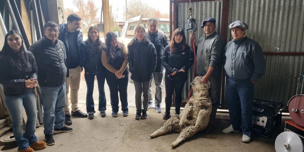 esquila, capacitación, empleo rural, Ignacio Torres, Chubut, Nicolás Zárate, Colán Conhué, herramientas rurales, formación continua, Centro Digital, equipamiento, desarrollo rural, innovación, empleo directo, comunidades rurales, inclusión tecnológica