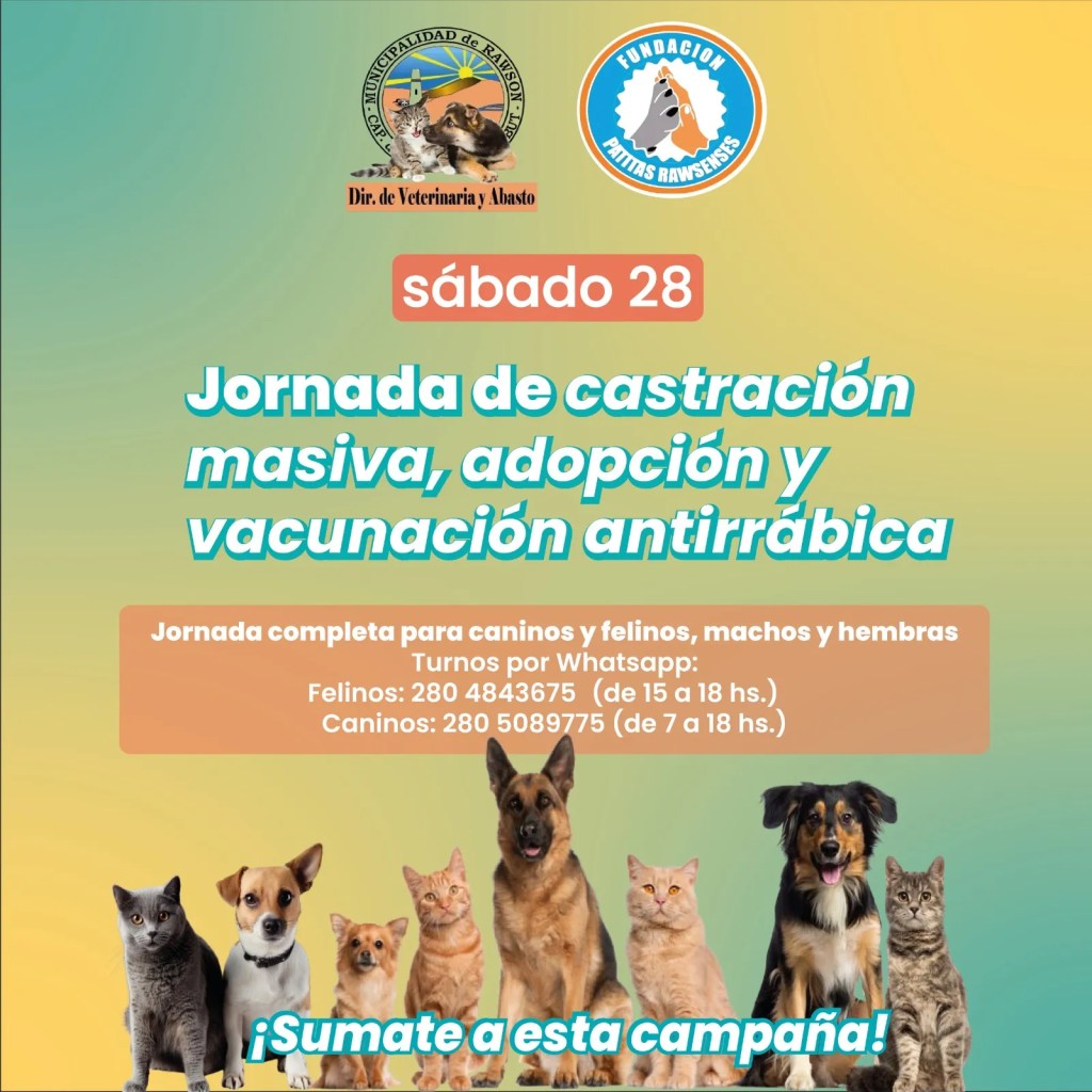 Rawson, castración, mascotas, perros, gatos, campaña gratuita, sobrepoblación animal, tenencia responsable, Fundación Patitas Rawsenses, salud pública, Playa Unión, esterilización, veterinaria, Noelia Sánchez, rescatistas, seguridad animal