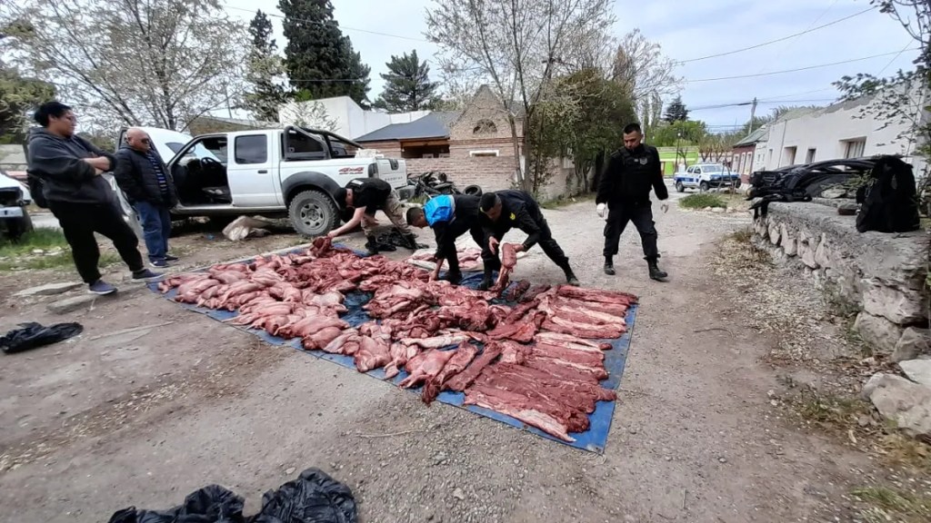 caza ilegal, secuestro de carne, guanaco faenado, operativo en Gaiman, infracción a la Ley de Caza, carne decomisada, transporte de alimentos, Flora y Fauna Silvestre, Gaiman, policía de Trelew