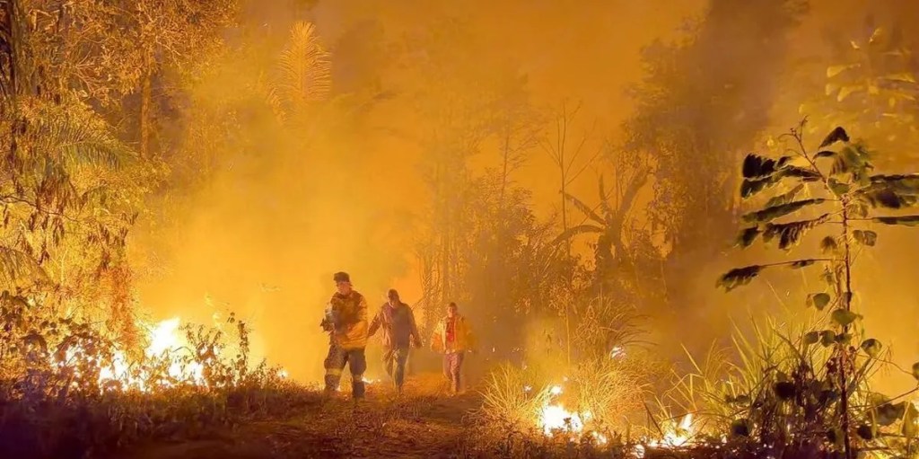 Bolivia sufre incendios forestales en múltiples&nbsp;departamentos