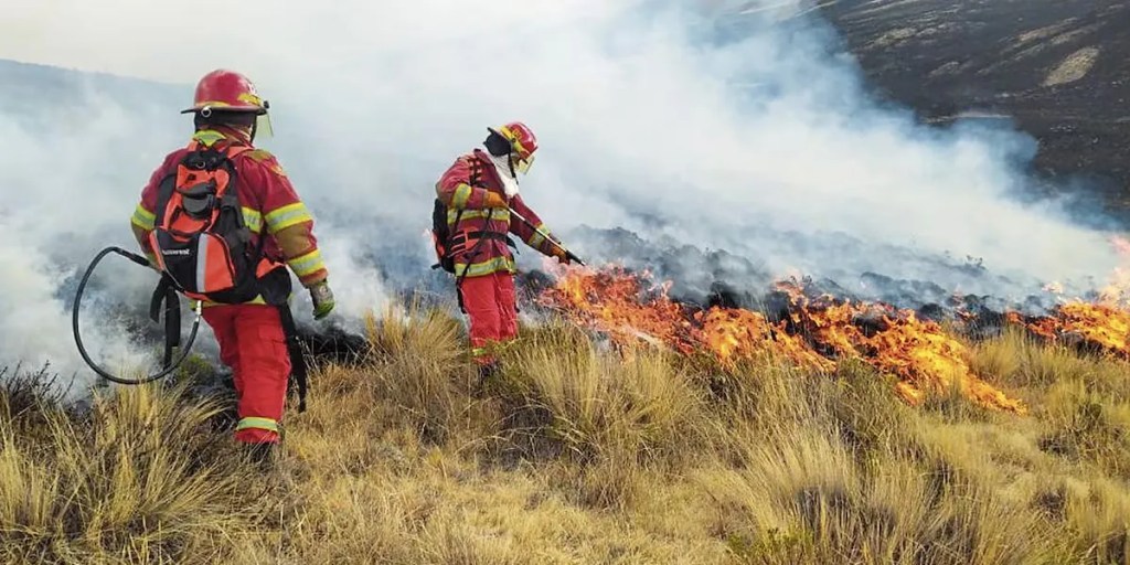Perú declara emergencia en tres regiones afectadas por incendios&nbsp;forestales