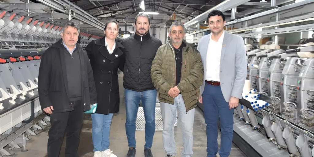 Impulsan un proyecto binacional de construcción sustentable con lana de&nbsp;oveja