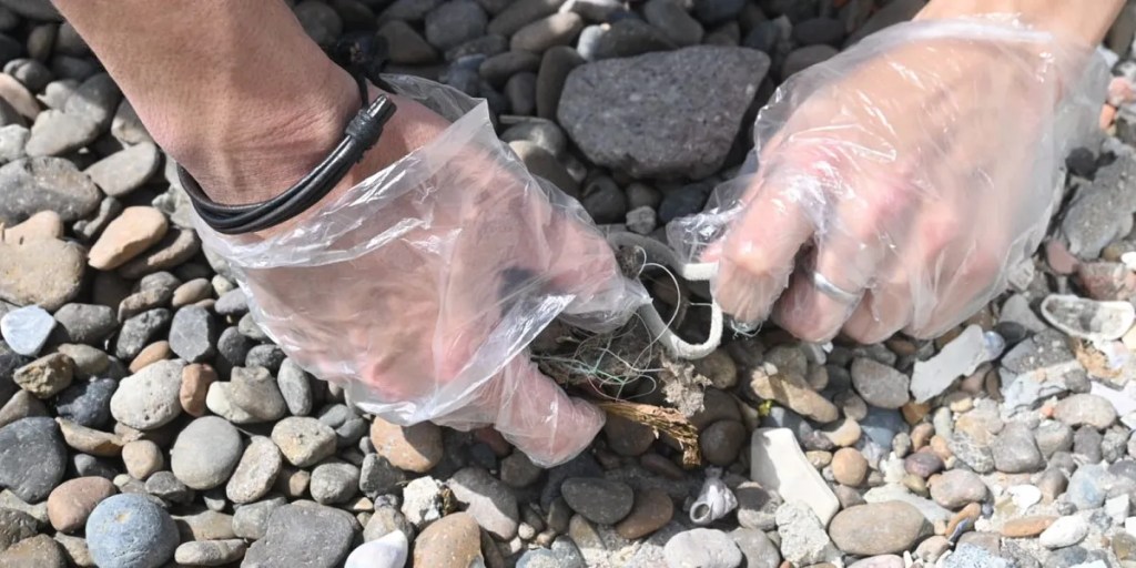 Día Mundial de las Playas, limpieza de playas Puerto Madryn, ecología Puerto Madryn, conservación de playas, jornada de limpieza, Trivium Packaging, Food Partners Patagonia, Secretaría de Ecología Puerto Madryn, playas limpias, cuidado del ambiente, International Coastal CleanUp, biodiversidad marina, participación ciudadana, limpieza de costas, evento ecológico Madryn