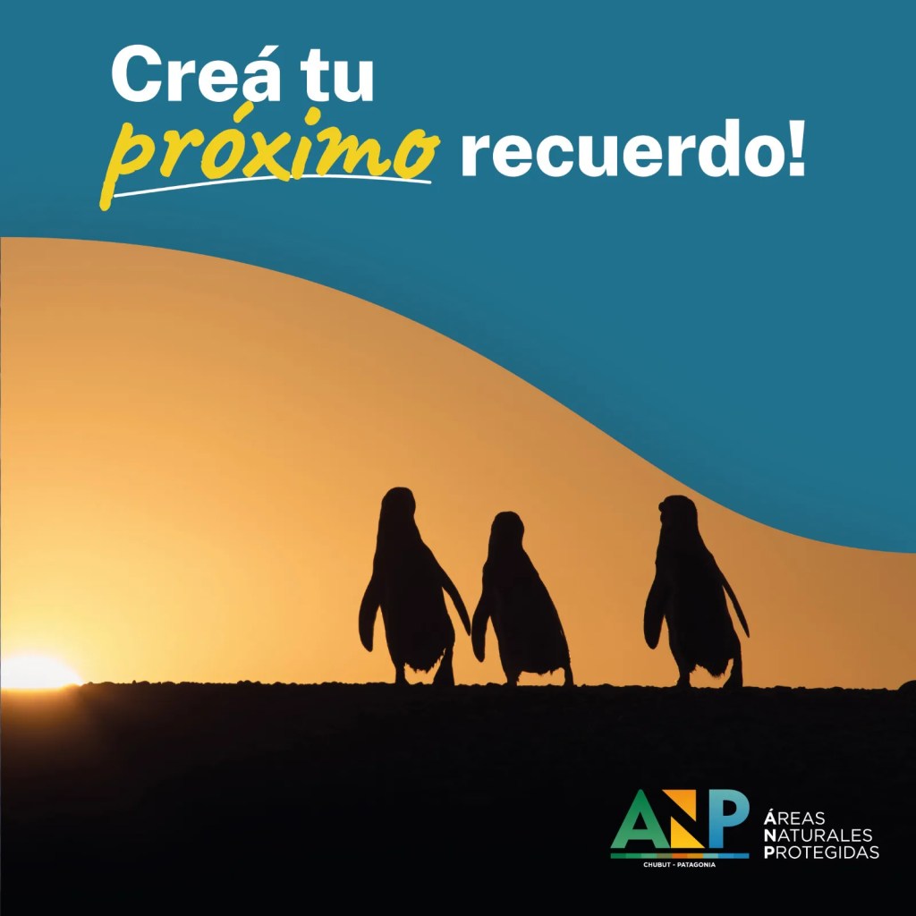 Chubut, Punta Tombo, Cabo Dos Bahías, Temporada de Pingüinos, Turismo en Chubut, Pingüinos de Magallanes, Conservación, Áreas Naturales Protegidas, Ignacio Torres, ENTRETUR, Ministerio de Turismo, Península Valdés, Patagonia, Camarones, Guardaparques, Actividades turísticas