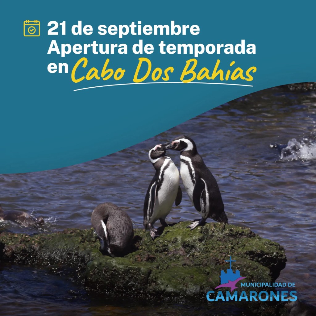 Chubut, Punta Tombo, Cabo Dos Bahías, Temporada de Pingüinos, Turismo en Chubut, Pingüinos de Magallanes, Conservación, Áreas Naturales Protegidas, Ignacio Torres, ENTRETUR, Ministerio de Turismo, Península Valdés, Patagonia, Camarones, Guardaparques, Actividades turísticas