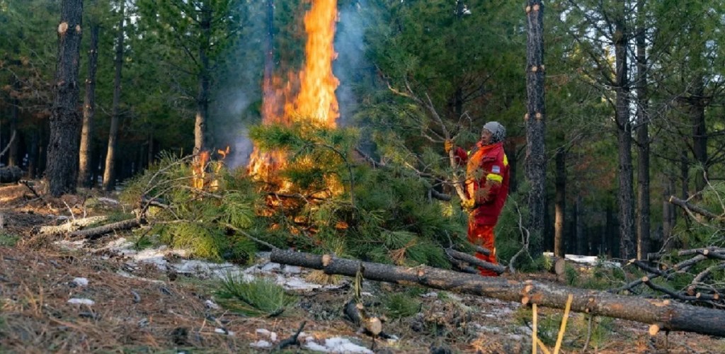Refuerzan los controles en quemas forestales no&nbsp;autorizadas