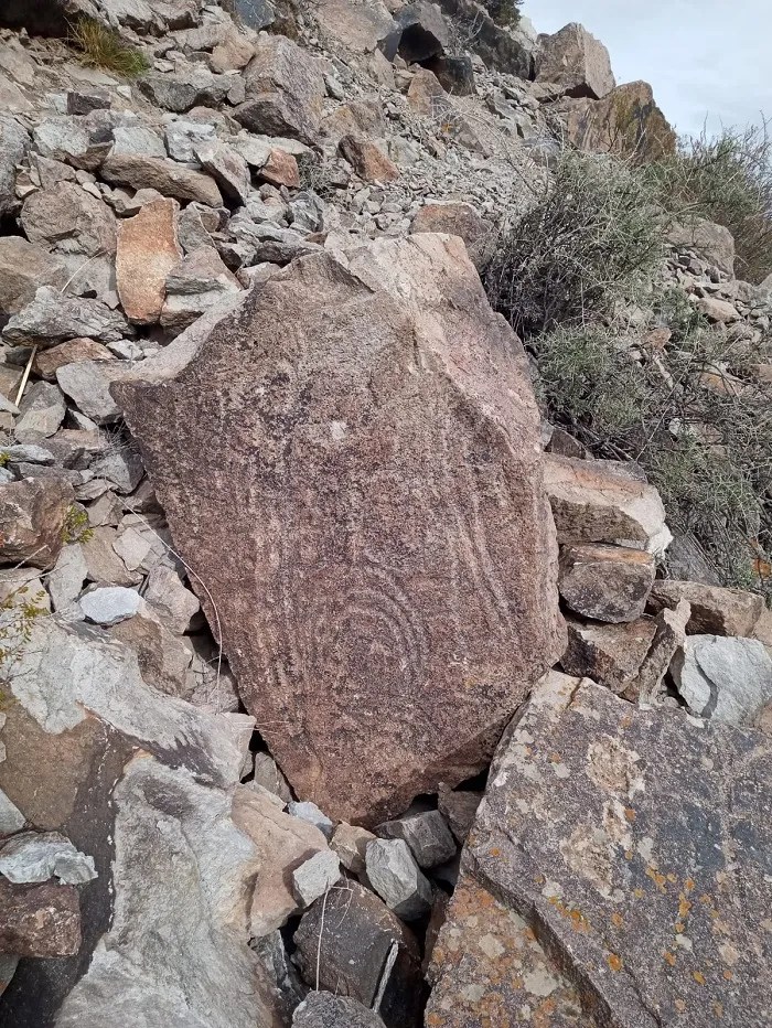 Chubut, petroglifos, arqueología, Las Plumas, Ignacio Torres, patrimonio cultural, Universidad del Chubut, conservación, turismo cultural, Río Chubut, Valle de los Mártires, historia, grabados rupestres, protección del patrimonio, cultura, comunidad