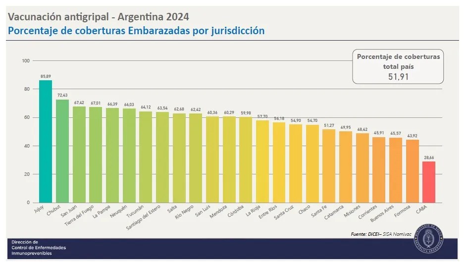 vacunación, gripe, Virus Sincicial Respiratorio, Chubut, salud pública, invierno 2024, embarazadas, bronquiolitis, neumonía, antigripal, vacunación nacional, grupos priorizados, bebés, salud, Ministerio de Salud