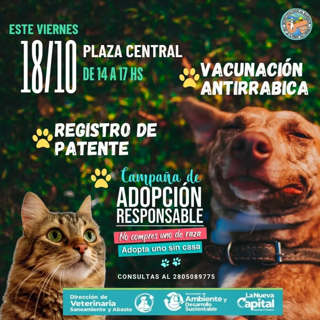vacunación antirrábica, Rawson, mascotas, perros y gatos, Noelia Sánchez, Plaza Central Guillermo Rawson, veterinaria municipal, tenencia responsable, registro de patente, campaña de vacunación, vacunación gratuita, Ordenanza N° 8979, desparasitación, pulguicida, garrapaticida