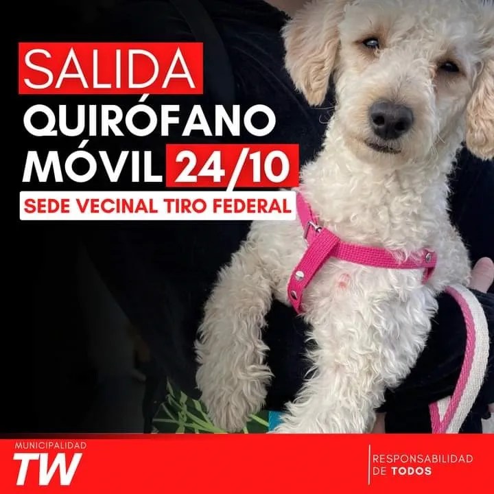 Trelew, castración de mascotas, Zoonosis, tenencia responsable, bienestar animal, control poblacional, jornada de castración, Tiro Federal, salud pública, protectoras de animales