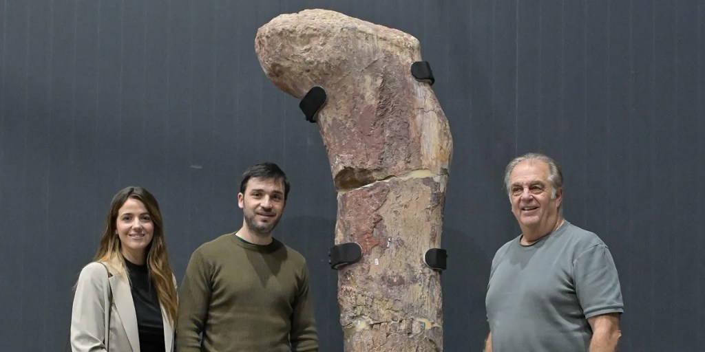 Museo Egidio Feruglio, Trelew, Ignacio Torres, Chubut, dinosaurios, Patagotitan mayorum, turismo, ciencia, cultura, tecnología, inauguración, exhibición, fósiles, educación, turismo cultural