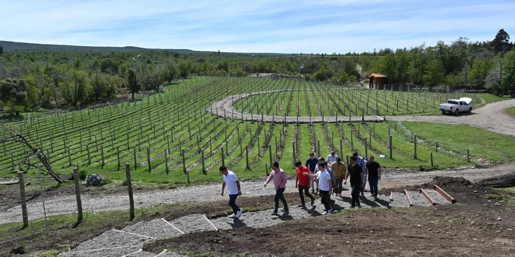 Ignacio Torres, Chubut, viñedo, Trevelin, turismo, inversión, producción, Ley de Fomento a las Inversiones Turísticas, corredor turístico, sustentabilidad