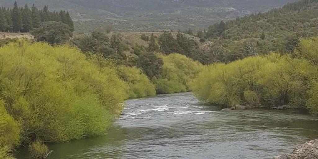 Comenzó la temporada de pesca del salmón del Pacífico en Corcovado y&nbsp;Carrenleufú