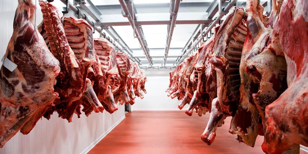 Las exportaciones de carne vacuna alcanzan su máximo en 57&nbsp;años
