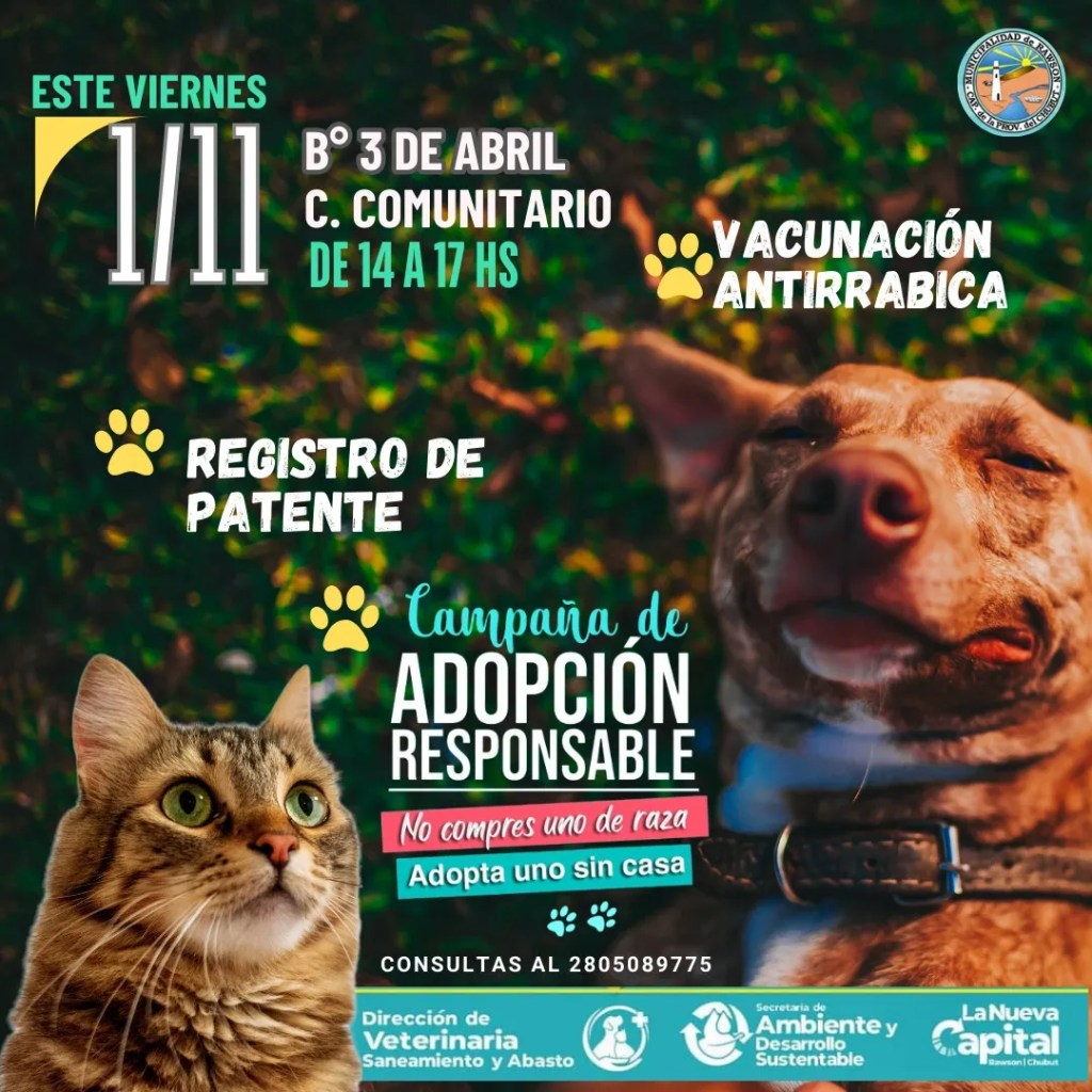 Rawson, vacunación antirrábica, tenencia responsable, barrio 3 de Abril, mascotas, Noelia Sánchez, adopción responsable, Municipalidad de Rawson, vacunación gratuita, perros y gatos, patentamiento, esterilización, salud animal, comunidad, liquidación pulguicida, seguridad