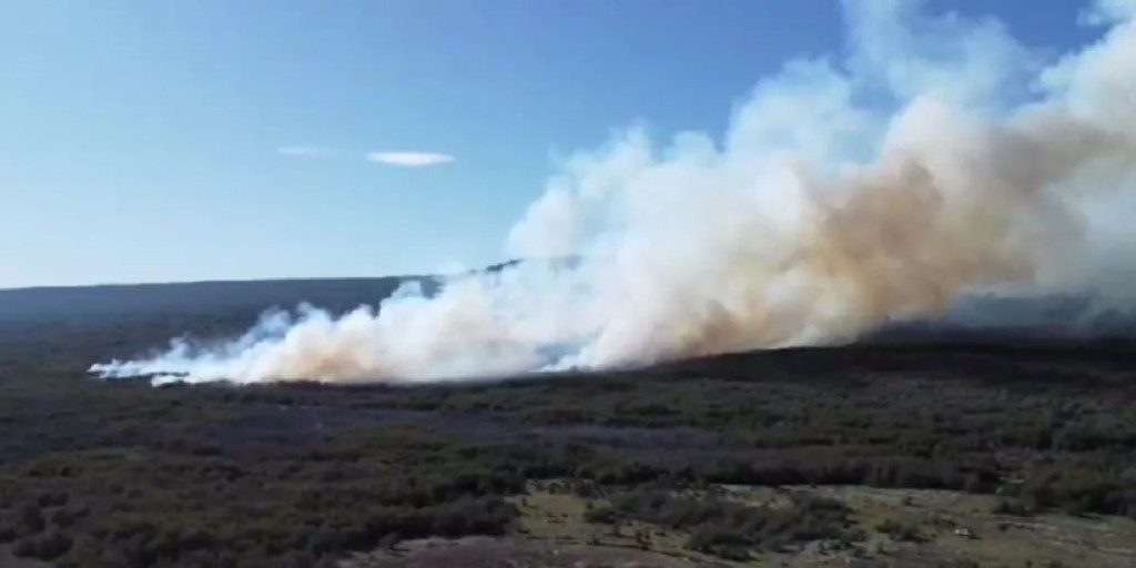incendio forestal, Río Pico, Chubut, Ignacio Torres, SPMF, Secretaría de Bosques, combate de incendios, medio ambiente, siniestro ígneo, bosque nativo, arbustos, pastizales, viento, Administración Provincial de Vialidad, operativo forestal, preservación ambiental
