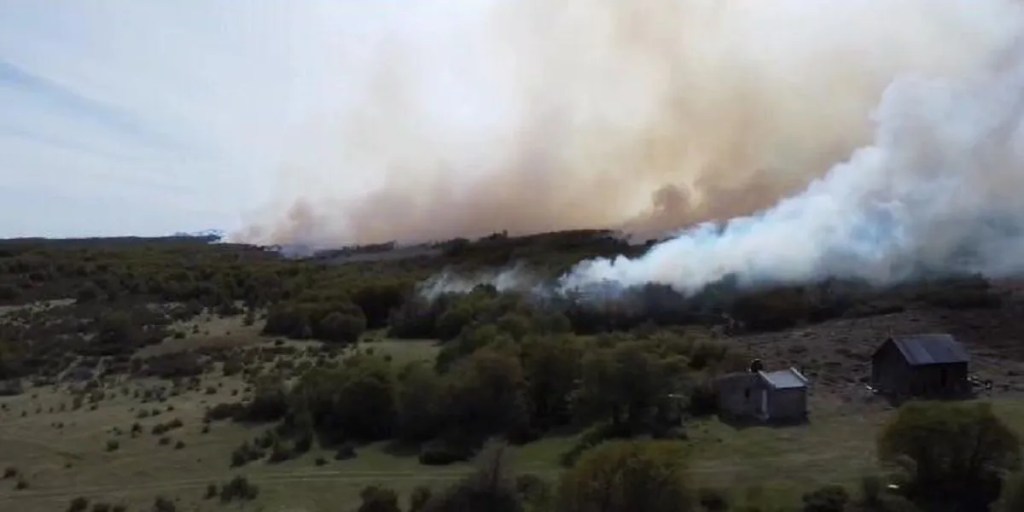 incendio forestal, Río Pico, Chubut, Ignacio Torres, SPMF, Secretaría de Bosques, brigadistas, Administración de Vialidad Provincial, Policía del Chubut, combate de incendios, bosque nativo, topadora, recursos naturales, control de incendios, preservación ambiental, siniestro forestal, despliegue operativo, vegetación nativa