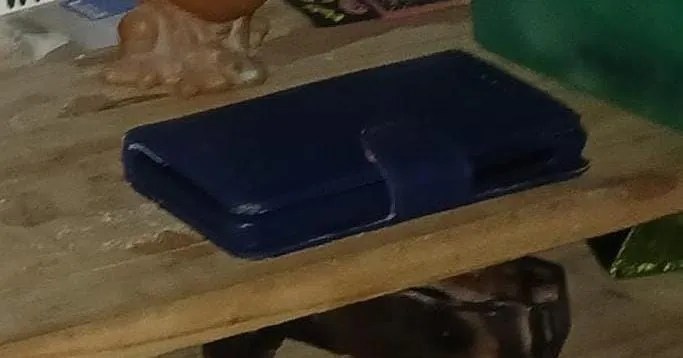 Puerto Madryn, Policía del Chubut, drogas, narcomenudeo, allanamientos, arresto domiciliario, GEOP, Guardia de Infantería, División Canes, Juzgado Federal N° 2, fiscal Fernando Gélvez, juez Gustavo Lleral, comisario Mario Pedrozo, seguridad Chubut, tráfico de drogas, delito