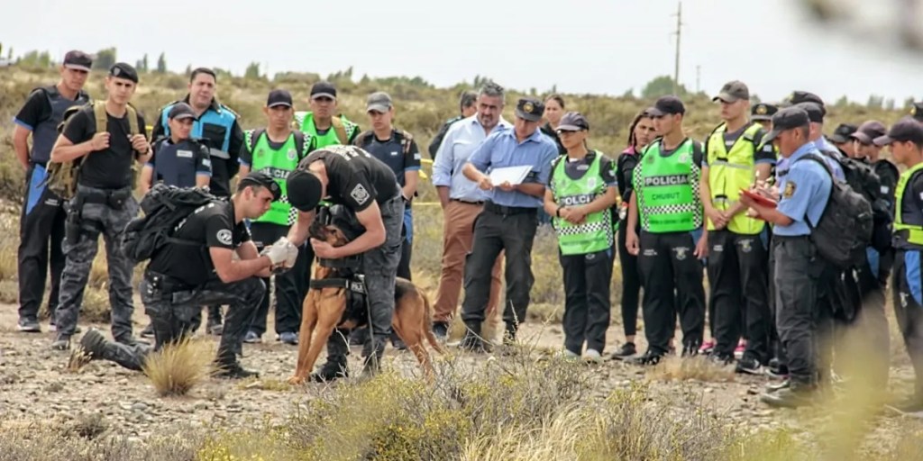 Realizaron un simulacro de búsqueda de personas en&nbsp;Rawson