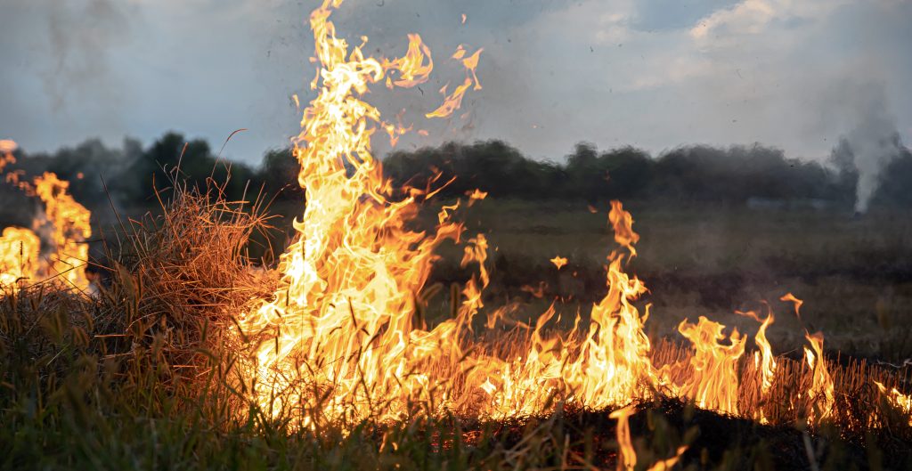 ANTE LOS ALTOS ÍNDICES DE RIESGO DE INCENDIO, ESTÁ PROHIBIDA LA QUEMA DE PASTIZALES EN&nbsp;TRELEW.