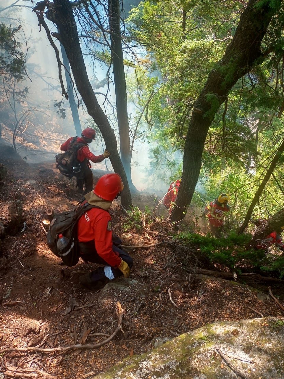EL GOBIERNO PROVINCIAL COORDINÓ UN INTENSO OPERATIVO QUE LOGRÓ CONTROLAR ÁREAS AFECTADAS POR EL INCENDIO EN&nbsp;EPUYÉN.