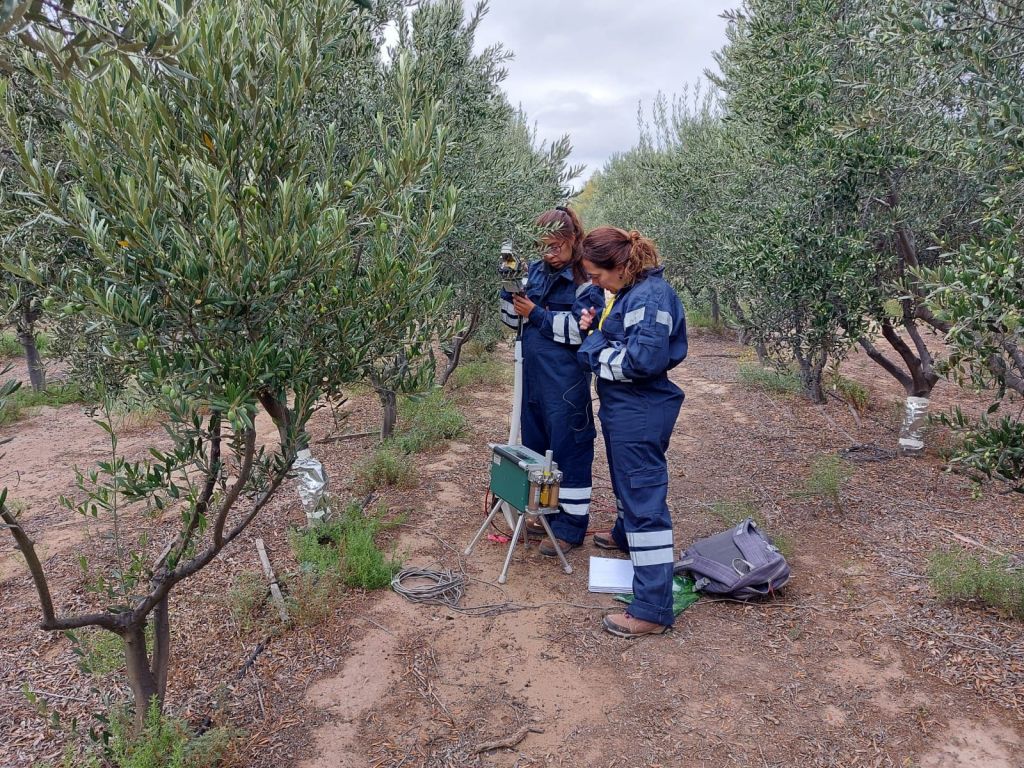 INVESTIGADORA CHUBUTENSE DESARROLLARÁ ESTANCIA EN LA UNIVERSIDAD DE WISCONSIN PARA POTENCIAR CULTIVOS EN REGIONES ÁRIDAS Y&nbsp;FRÍAS.
