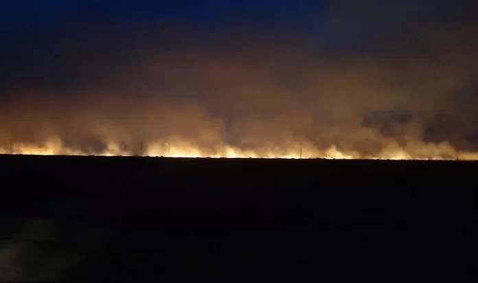 PROVINCIA PROFUNDIZA LAS TAREAS PARA COMBATIR EL FOCO ÍGNEO REGISTRADO SOBRE LA RUTA NACIONAL N°&nbsp;3.