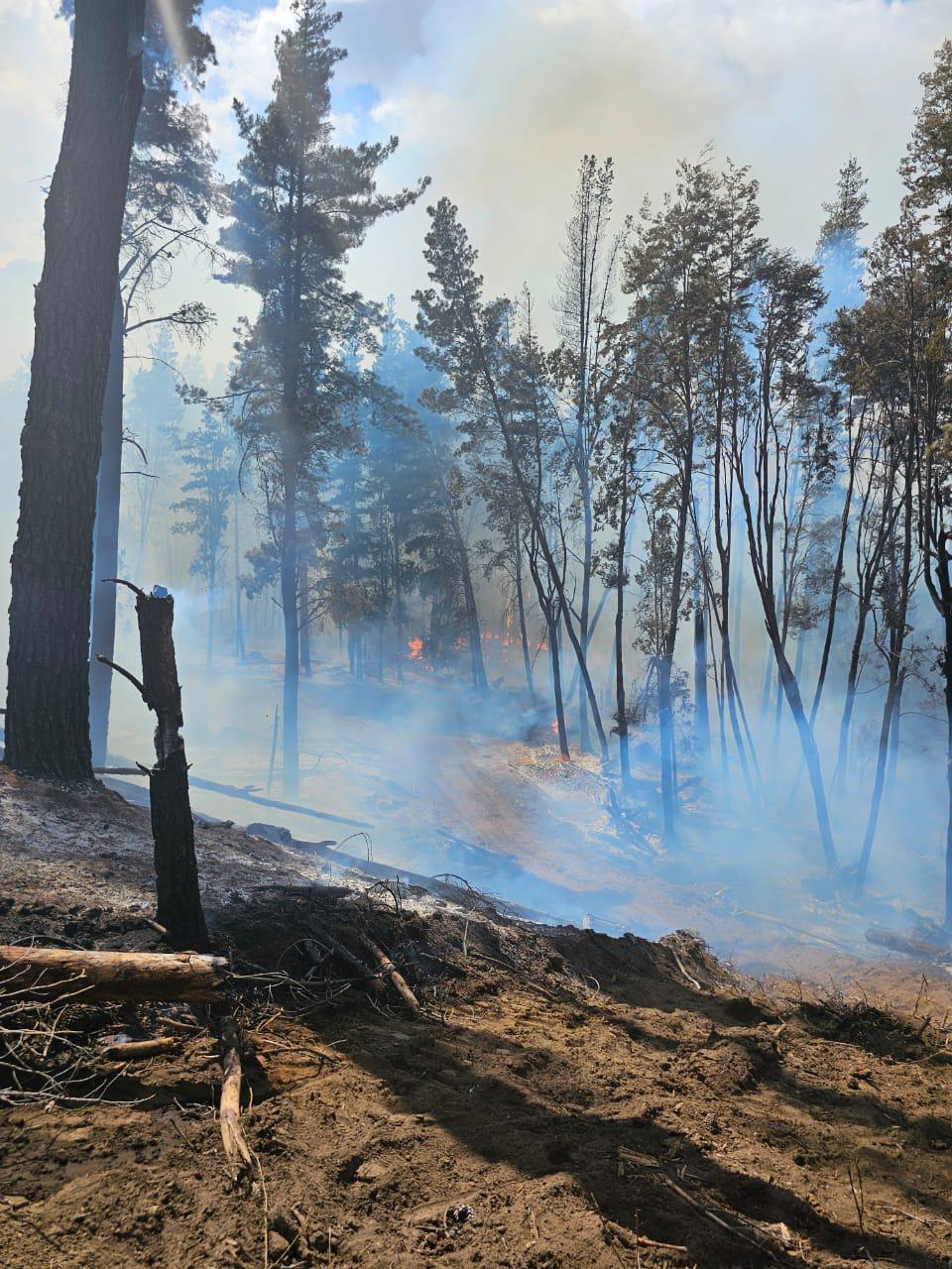TORRES INSTRUYÓ AL GABINETE A PERMANECER EN LA CORDILLERA ANTE LOS NUEVOS FOCOS&nbsp;ACTIVOS.