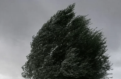 ALERTA AMARILLA POR VIENTOS EN&nbsp;CHUBUT.